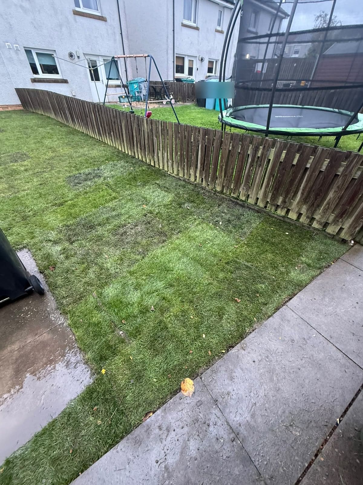 New turf laid tight to the boundary fence in the Chapelhall garden, cut in neatly along the path