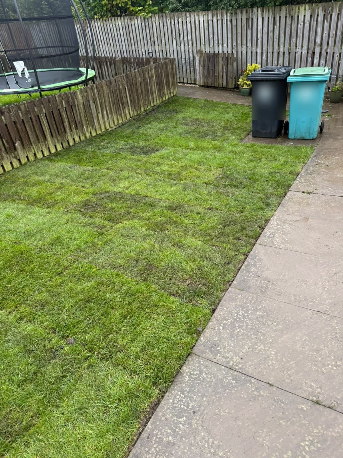 Newly turfed corner of the Chapelhall garden beside the bin area, cut in cleanly against the slabs
