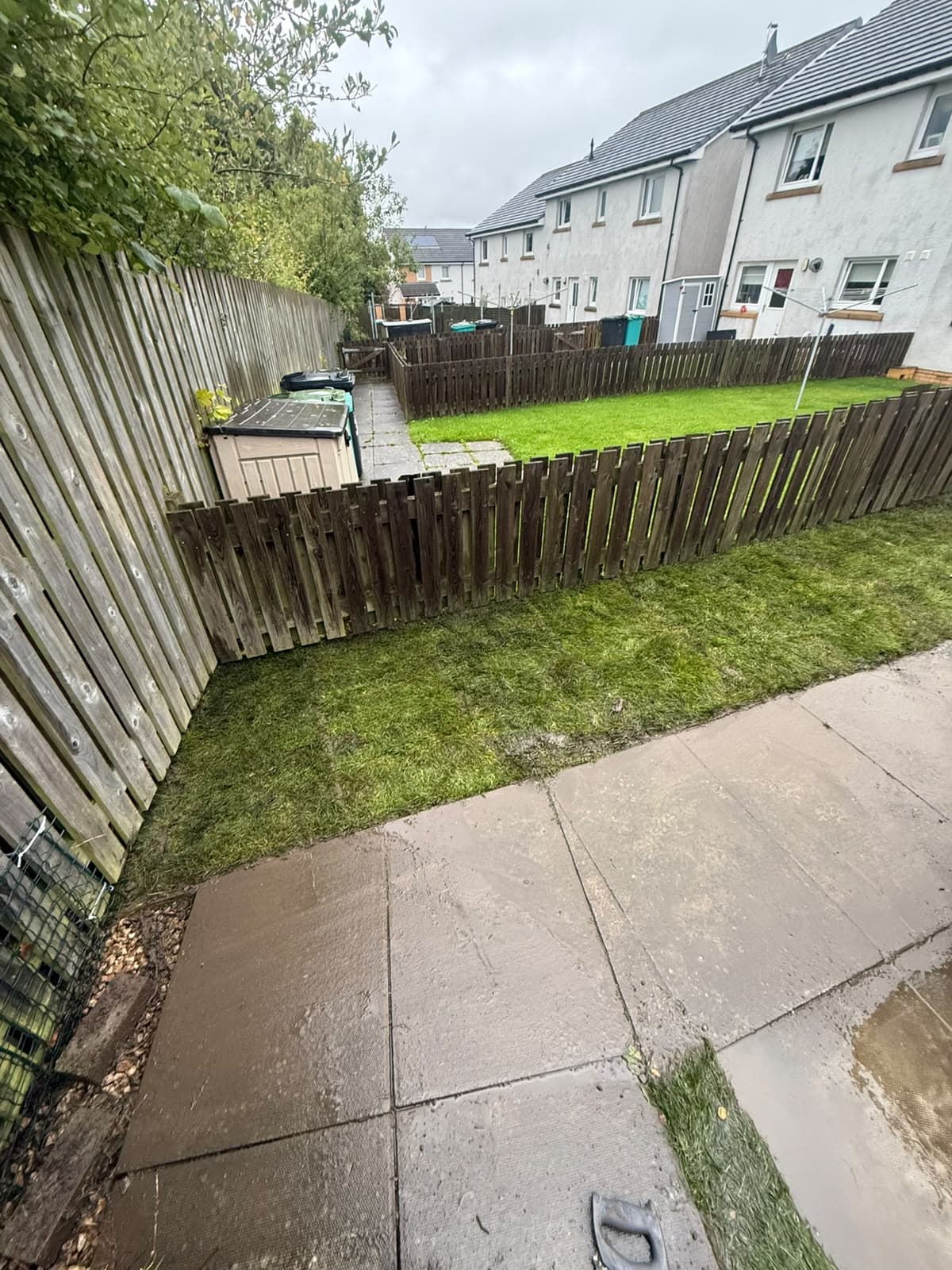 New turf along the low fence line in the Chapelhall garden, looking across the neighbouring gardens