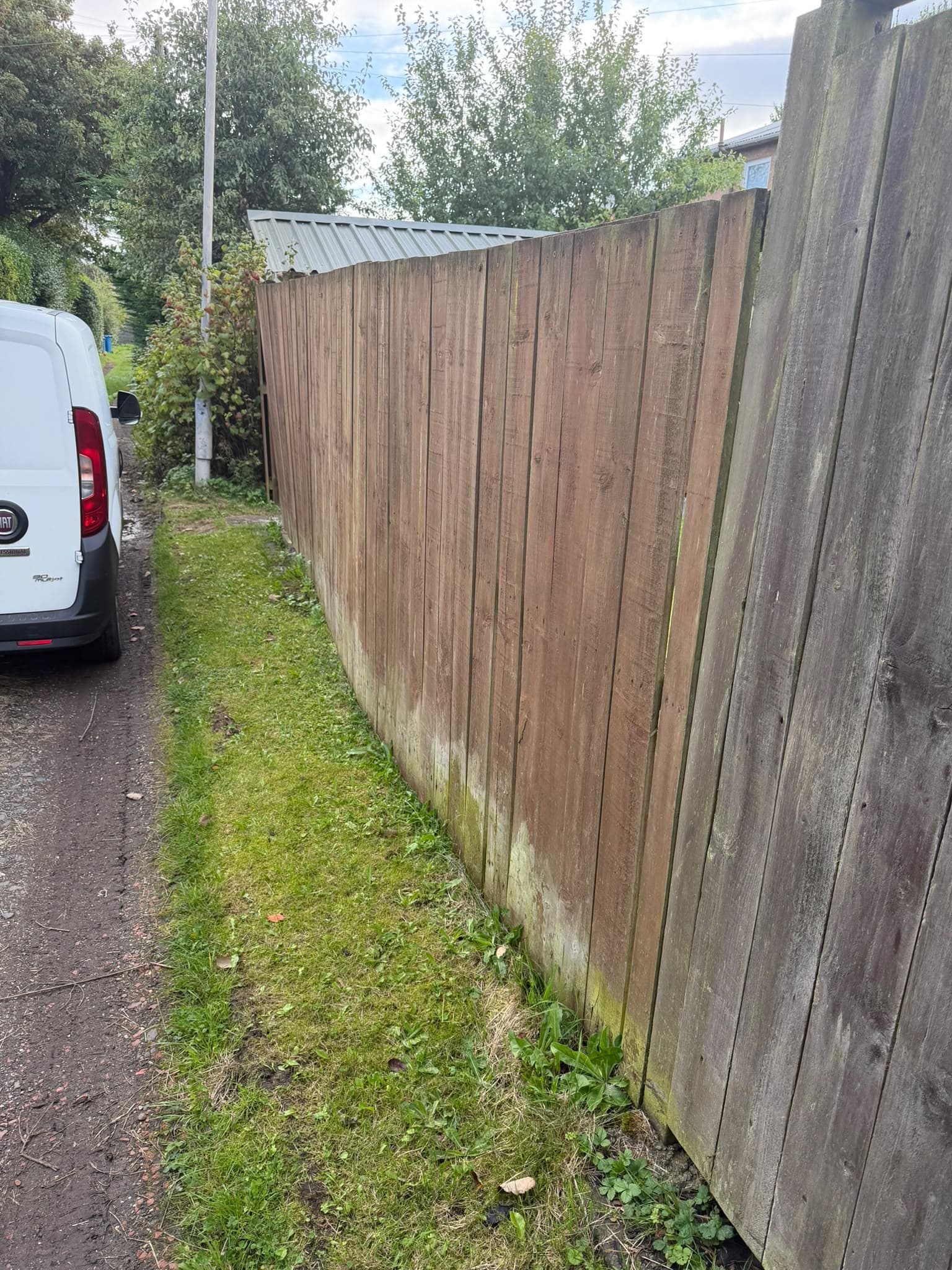 Old weathered close-board fence in Auldhouse leaning into a rear service lane, with green algae staining along the base of the boards