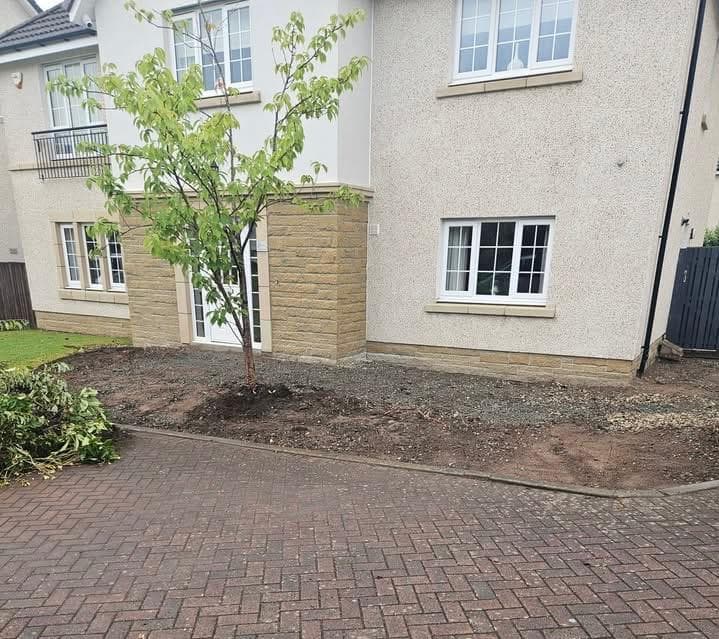 Bare compacted soil and rubble across the front of a new-build house in Dargavel, with a young ornamental cherry and no edge against the driveway