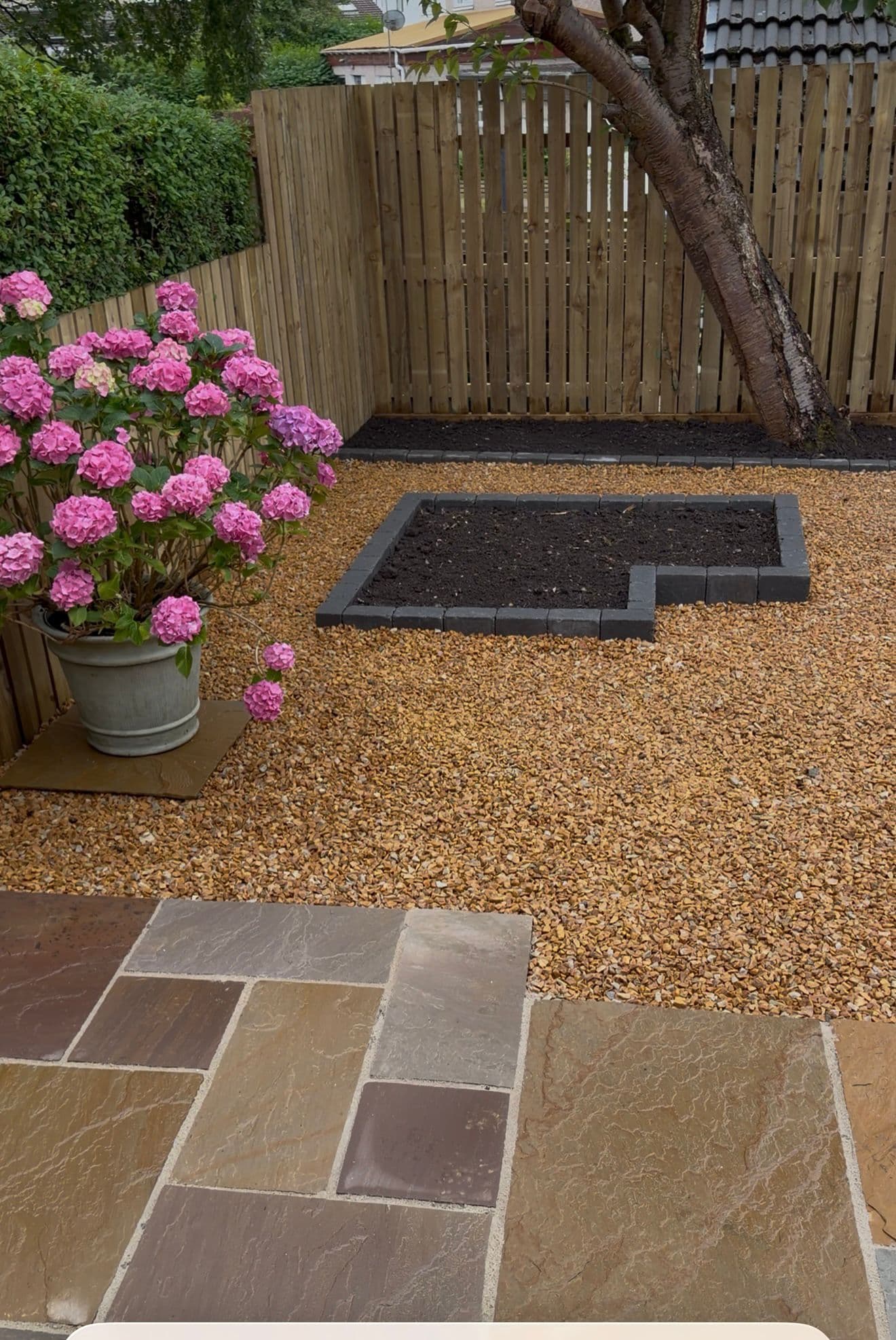 Raised planting bed with a potted hydrangea in a newly landscaped garden