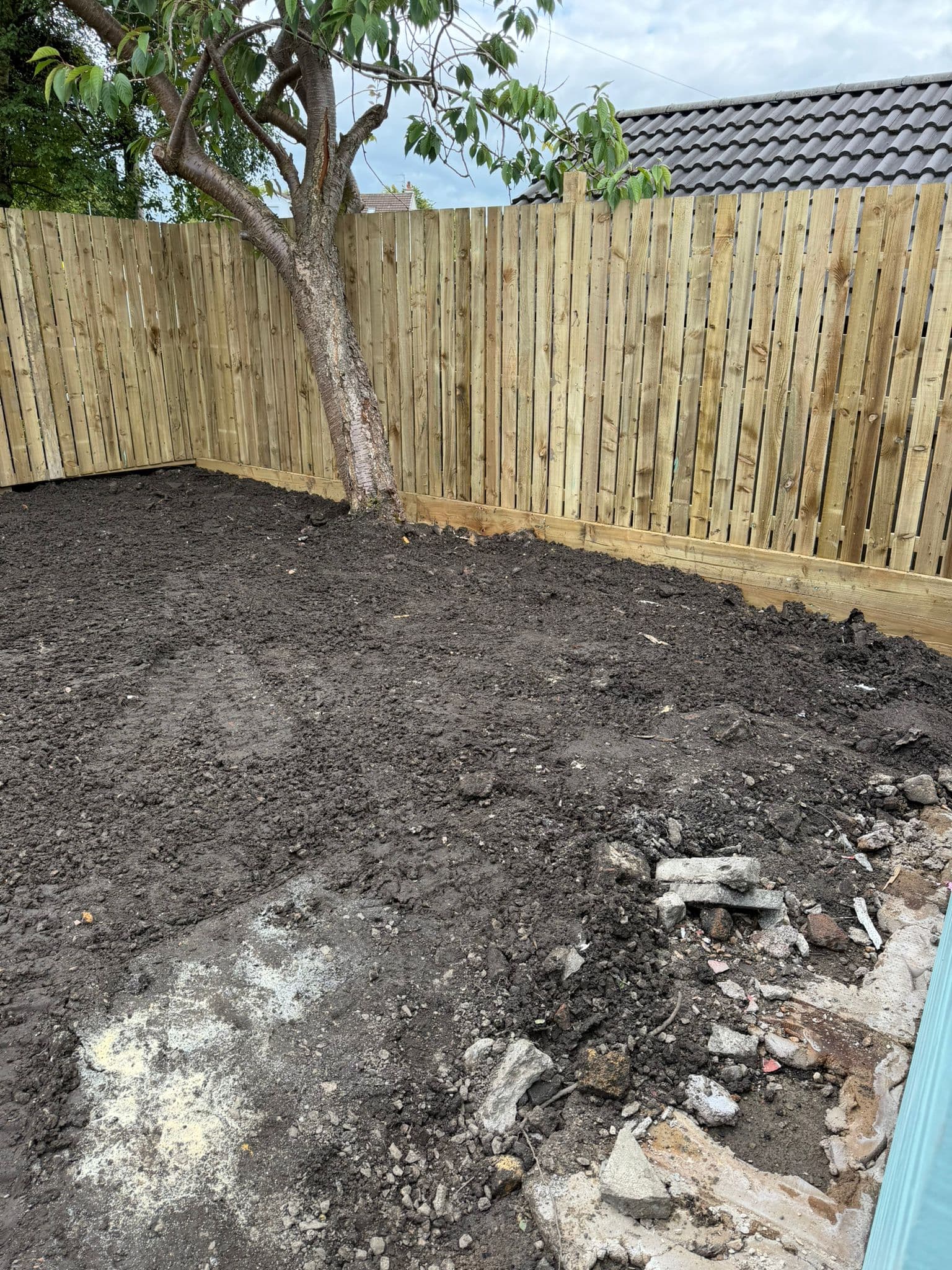 Glasgow rear garden stripped to bare soil with old concrete and rubble dug out, new close-board fencing up around the boundary and the mature cherry retained
